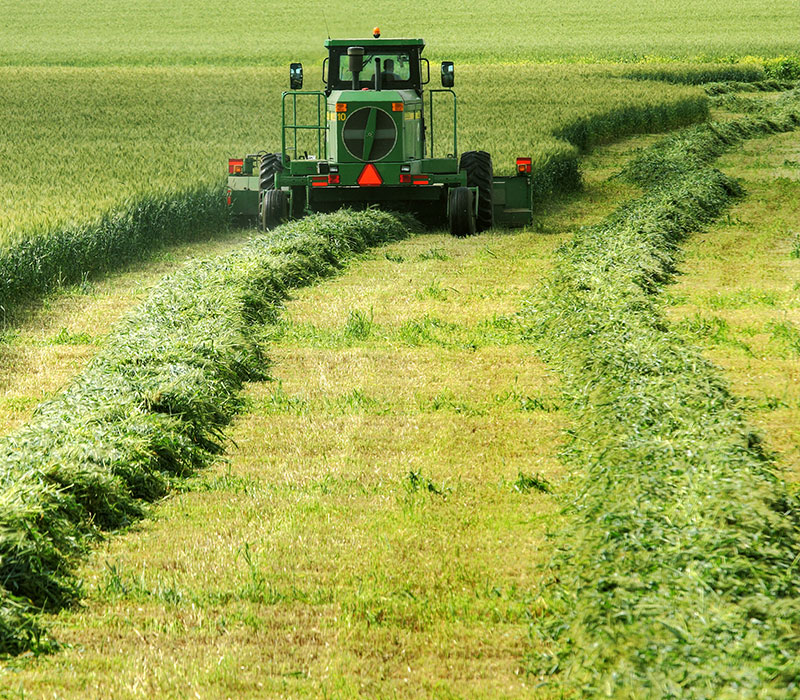 XCMG XGC88000 hoisting petrochemical equipment