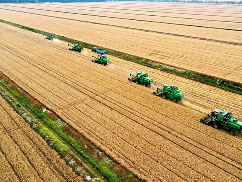 Complex Equipment Operation and Insufficient Staff Training